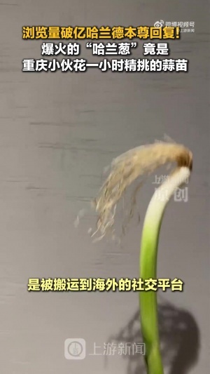 足球直播_足球直播免费在线观看_足球直播在线观看免费高清